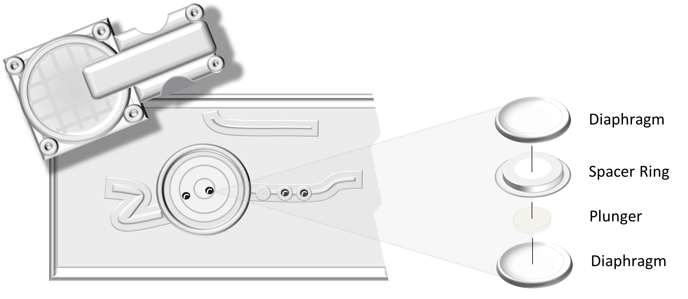 Diaphragm_Replacement.png